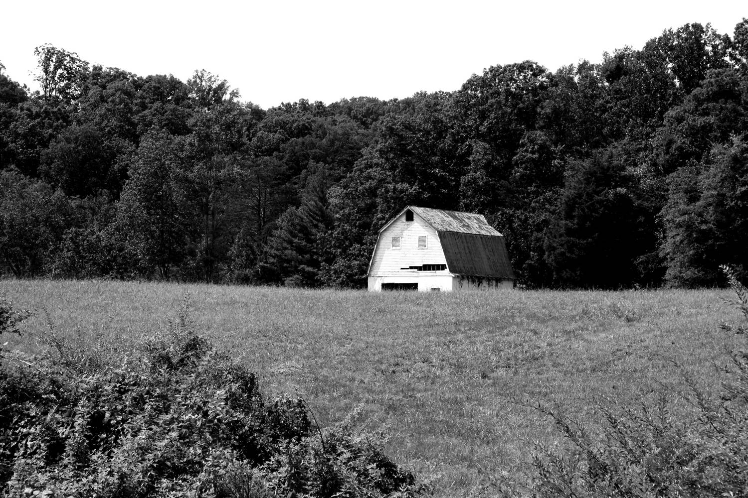 News Community Coming Together to Discuss the John Sevier Scenic